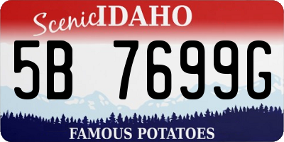 ID license plate 5B7699G