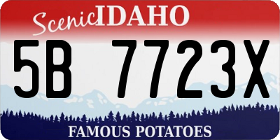 ID license plate 5B7723X