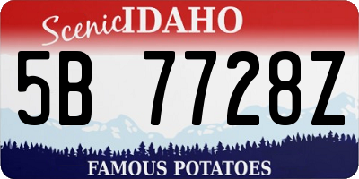 ID license plate 5B7728Z