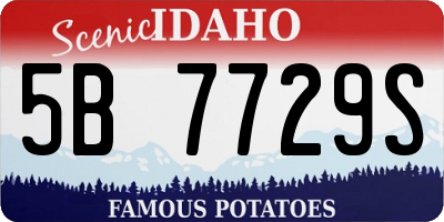 ID license plate 5B7729S