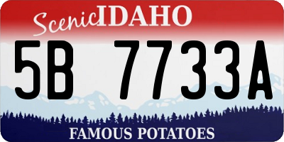 ID license plate 5B7733A