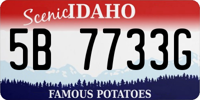 ID license plate 5B7733G