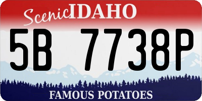 ID license plate 5B7738P