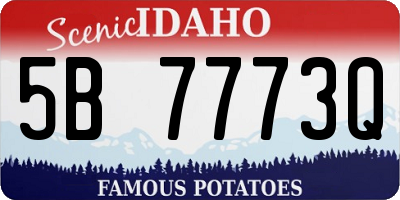 ID license plate 5B7773Q