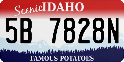 ID license plate 5B7828N