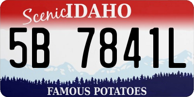 ID license plate 5B7841L