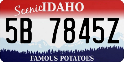 ID license plate 5B7845Z