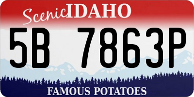 ID license plate 5B7863P