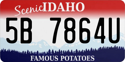 ID license plate 5B7864U