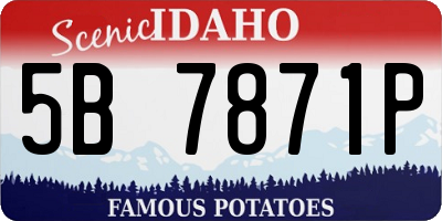 ID license plate 5B7871P