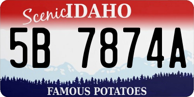 ID license plate 5B7874A