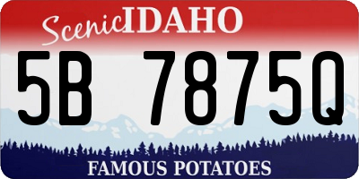 ID license plate 5B7875Q