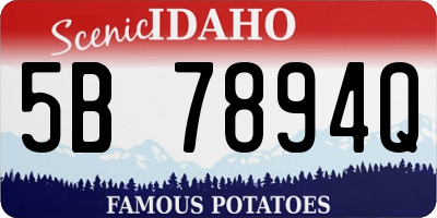 ID license plate 5B7894Q