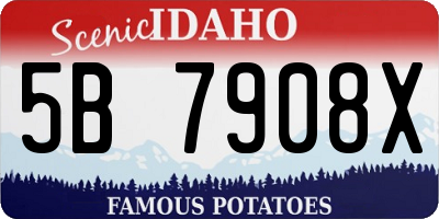 ID license plate 5B7908X