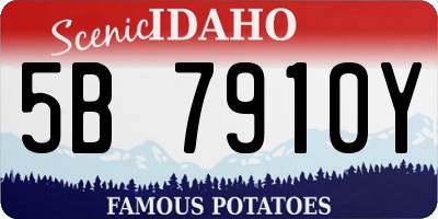 ID license plate 5B7910Y