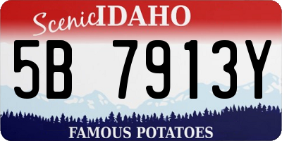 ID license plate 5B7913Y