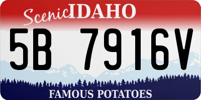 ID license plate 5B7916V