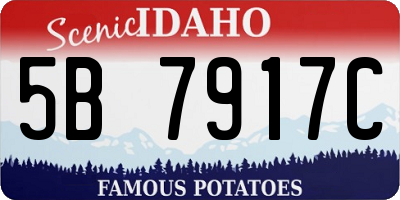 ID license plate 5B7917C