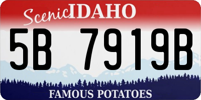 ID license plate 5B7919B