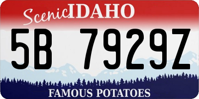 ID license plate 5B7929Z