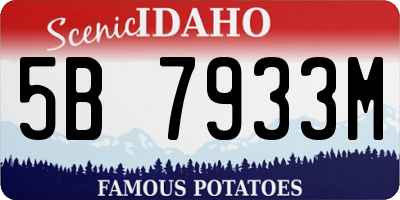 ID license plate 5B7933M