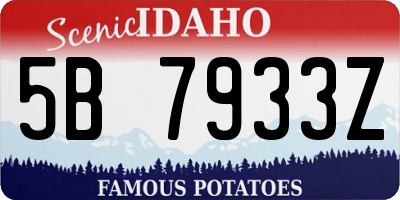 ID license plate 5B7933Z