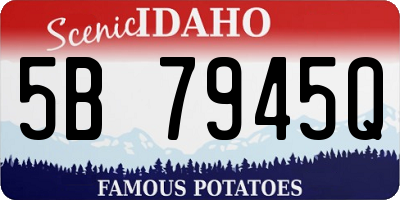 ID license plate 5B7945Q
