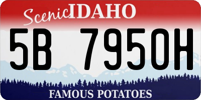 ID license plate 5B7950H