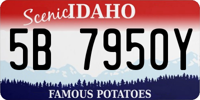 ID license plate 5B7950Y