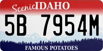 ID license plate 5B7954M