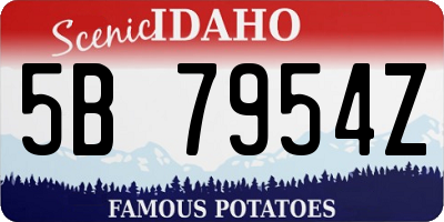 ID license plate 5B7954Z
