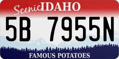 ID license plate 5B7955N