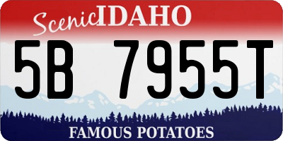 ID license plate 5B7955T