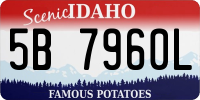 ID license plate 5B7960L