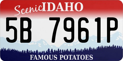 ID license plate 5B7961P