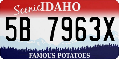 ID license plate 5B7963X