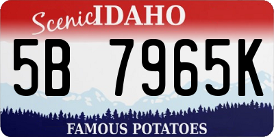 ID license plate 5B7965K