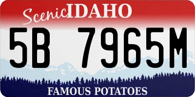 ID license plate 5B7965M