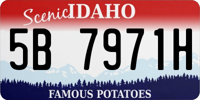 ID license plate 5B7971H