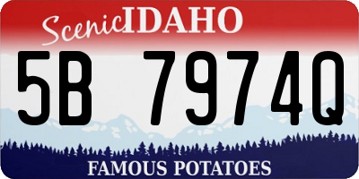 ID license plate 5B7974Q