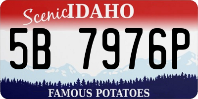 ID license plate 5B7976P