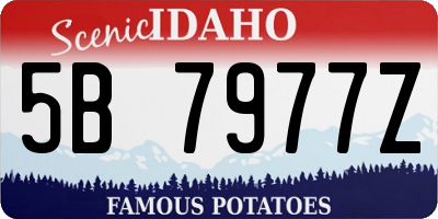 ID license plate 5B7977Z