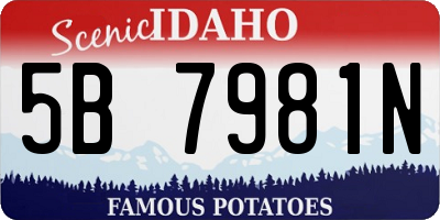 ID license plate 5B7981N