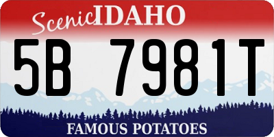 ID license plate 5B7981T