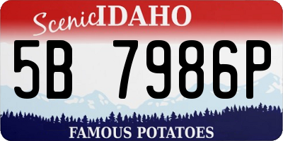 ID license plate 5B7986P