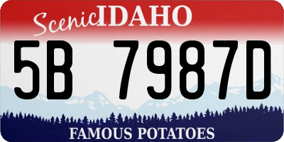 ID license plate 5B7987D
