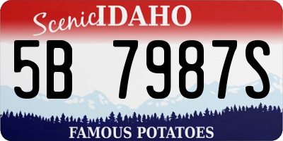 ID license plate 5B7987S