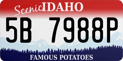 ID license plate 5B7988P