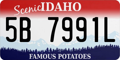 ID license plate 5B7991L