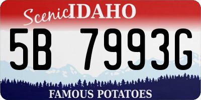 ID license plate 5B7993G
